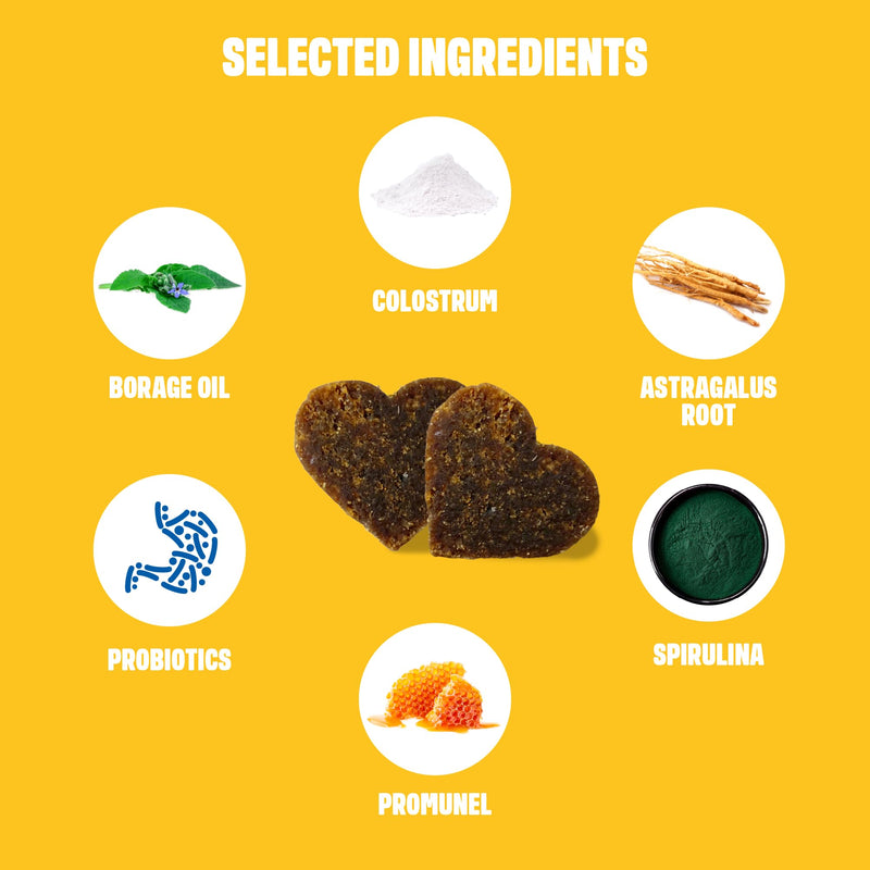 ivvi Allergy for Dogs - Against Allergies & Itching and Strengthening the Immune System - 60 Delicious Snacks (270 g) with Salmon