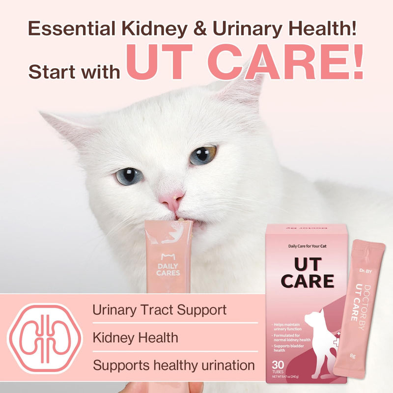 Doctor By UT Care Cat UTI Kidney Support Urinary Supplement Cranberry Treatment for Cats Renal Health with Pacran, Quercetin, Taurine lickable Formula Individually Packaged (1 Pack) 1 Pack