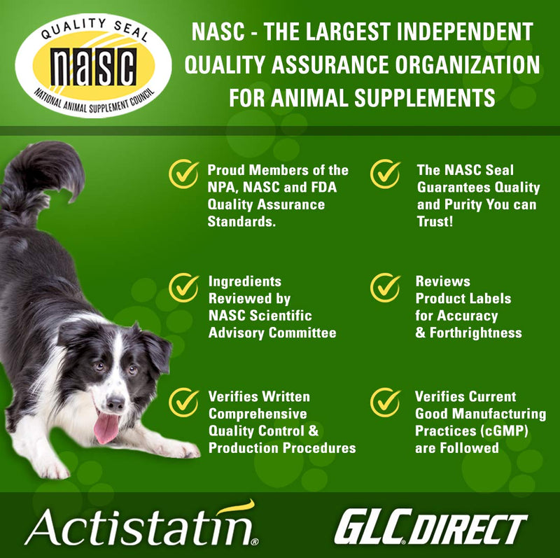 Canine Large Dog Soft Chews, 60ct – Patented Extra-Strength Joint, Cartilage, Soft Tissue Supplement: Glucosamine, Chondroitin, Manganese, MSM, L-Carnitine – High Absorption, Fast Results 60 Soft Chews - BeesActive Australia
