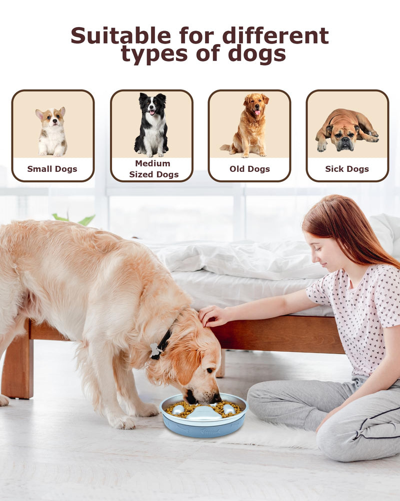 Slow Feeder Dog Bowl,2-4 Cups Food-Grade Stainless Steel Dog Food Bowls,Non-Slip Metal Slow Feeding Bowl for Small & Medium Sized Dogs,Pet Bowls to Slow Down Eating - BeesActive Australia
