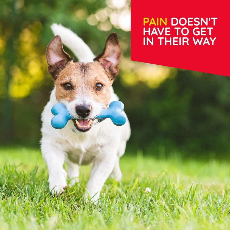 MediNatura T-Relief Pet Arthritis Pain, Pain Relief & Calming Tablets, 90ct Each