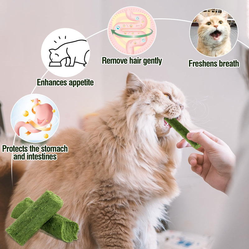 30g Cat Grass Snack, Cat Grass Sticks Naturally Dried Snacks for Cats for Hairball Removal and Dental Care, Catnip, Cat Grass Stick 30g - BeesActive Australia