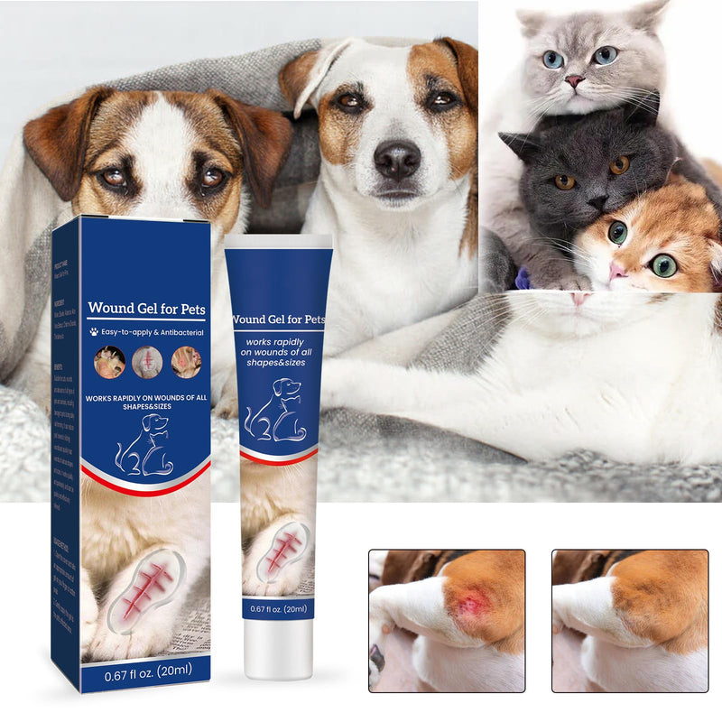 KOAHDE Wound Care Gel for Cats Dogs, Liquid Dressing for Pet Wound Care Gel, Wound Care Gel for Pets, Protective Wound Healing Gel for Pets, Wound Healing Fluid Gel, 20ML, 1PC - BeesActive Australia