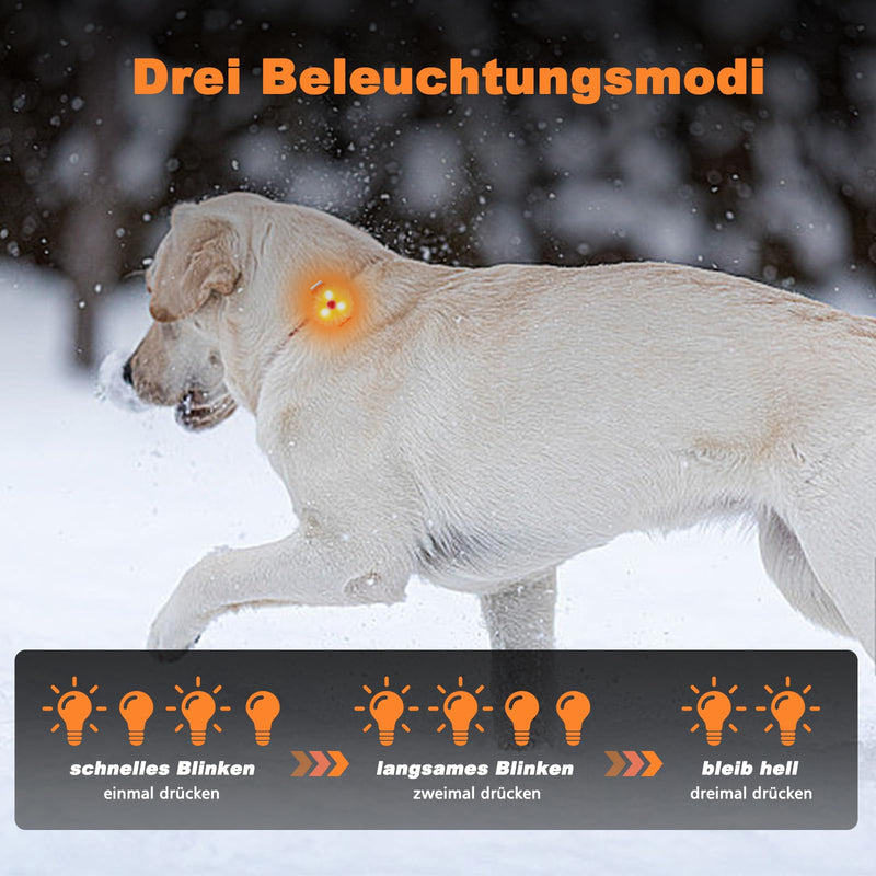 AHJ dog light, flashing light, school bag, children, safety LED flashing light for dogs - cats, USB-C rechargeable LED light, light collar dog, light for joggers - walkers - cyclists, orange - BeesActive Australia