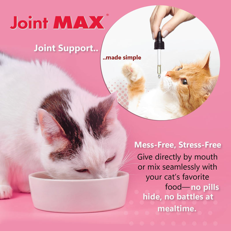 Liquid for Cats – Joint & Mobility Support Supplement with Glucosamine, MSM, Chondroitin, Omega-3 – Helps Ease Stiffness & Discomfort – 2 fl oz – Made in USA – NASC Certified