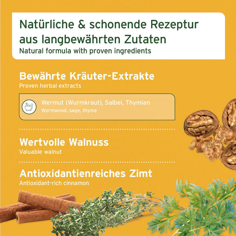 AniForte Worm Herb W-Liquid Drops Liquid - natural alternative for dogs, cats, pets, supports & harmonizes the stomach after worm infestation, Made in Germany, 50ml - BeesActive Australia