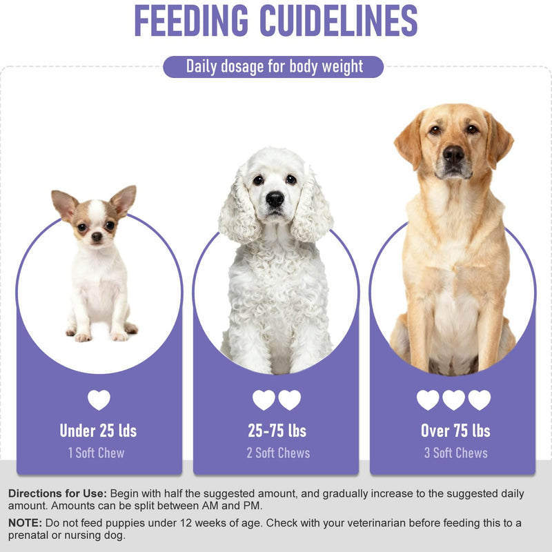 Dog Probiotics Probiotics for Dogs - Digestive Enzymes for Gut Flora, Digestive Health, Diarrhea & Bowel Support - Dog Supplement Soft Chew for Pet Immune System -（40ct ） (4.24 OZ) 4.24 OZ