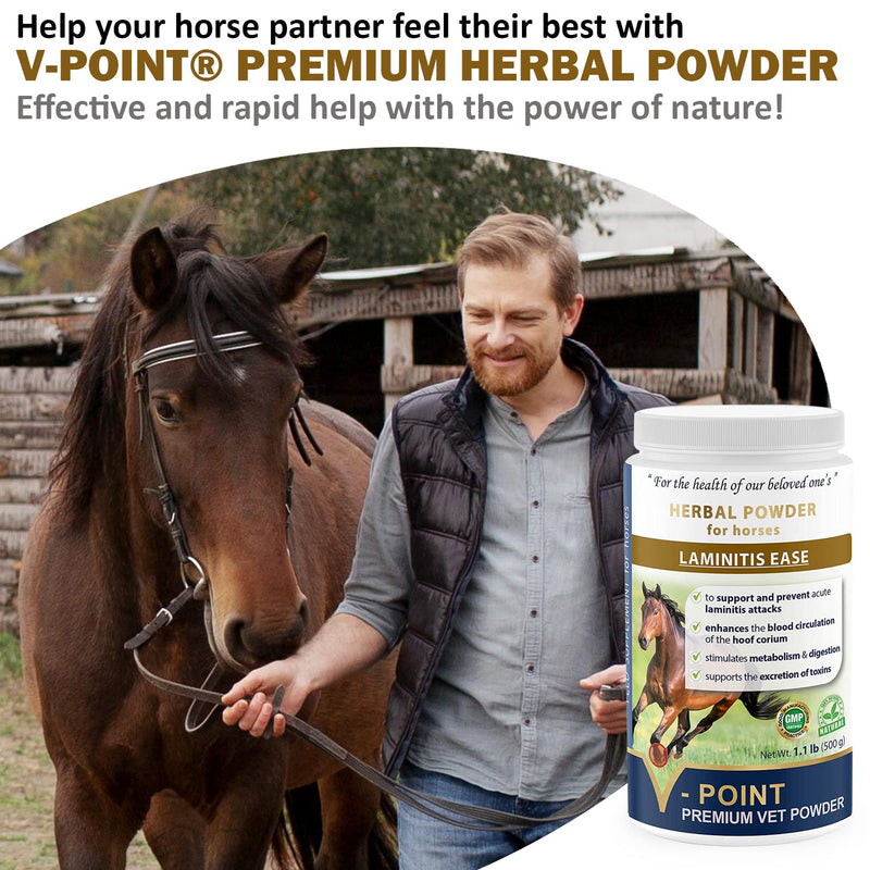 V-POINT - Laminitis Ease - hoof supplements for horses - horse hoof care product based on natural herbal powder - Ideal for hooves Health and Conditioning (1.0 lb) - BeesActive Australia