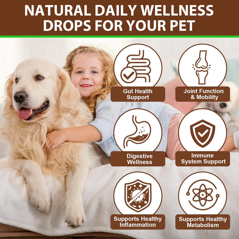 Turkey Tail Mushroom Supplement for Dogs - Liquid Formula with Probiotics & Turmeric, Supports Immune System, Digestive Health, and Joint Flexibility - Delicious Bacon Flavor (120ML) Pack of 1