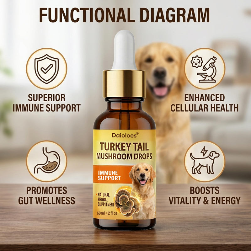 Turkey Tail Mushroom for Dogs, Immune Support & Digestive Health Supplement, 5X Turkey Tail Mushrooms for Pet Liquid Drops with Natural Turmeric & Probiotic, Faster Absorption, 2 Fl Oz(Pack of 1) 2 Fl Oz(Pack of 1)