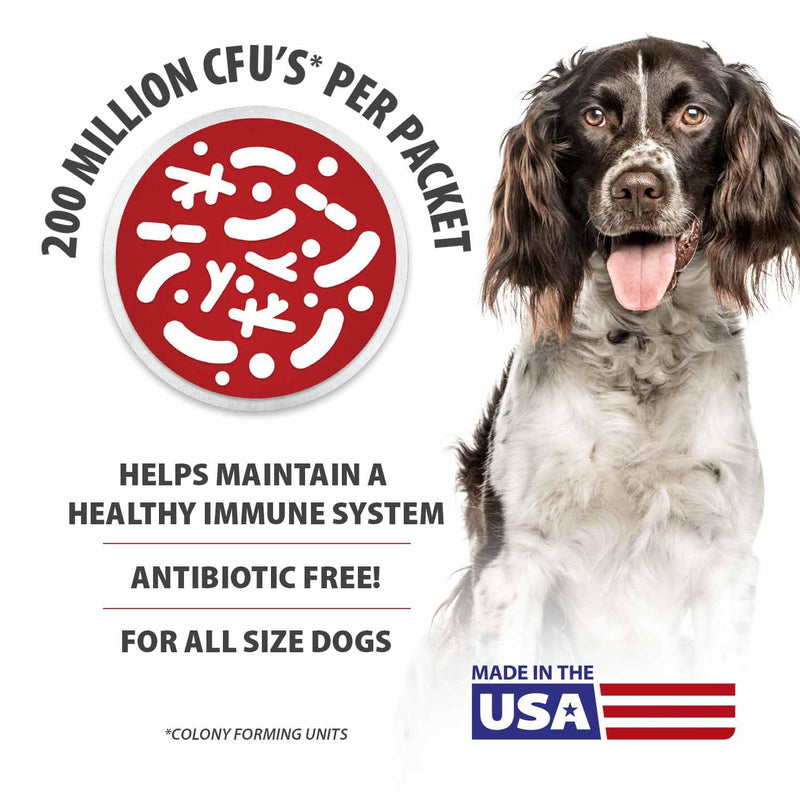Jeffers Belly Buddy Dog Probiotic Powder Packets, 30 Count - Veterinary Formulated, Four Probiotic Strains & Vitamins for Gut Health, Diarrhea & Digestive Balance, Chicken Liver Flavor, USA Made For Dogs 30 ct