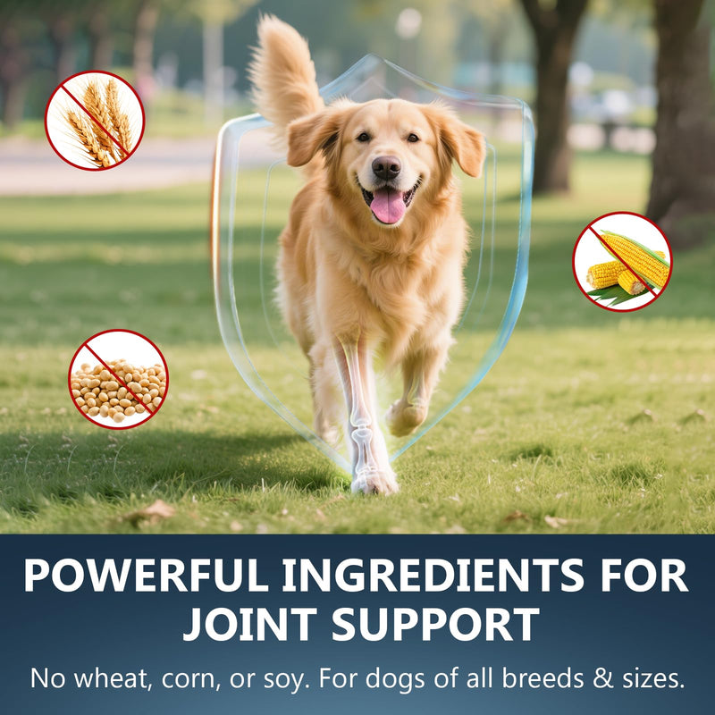 Glucosamine for Dogs - 150 Soft Chews, Hip & Joint Supplement with MSM, Chondroitin, Turmeric – Joint Support for Dogs Chicken Flavor – Vet Formulated – 2-Month Supply 10