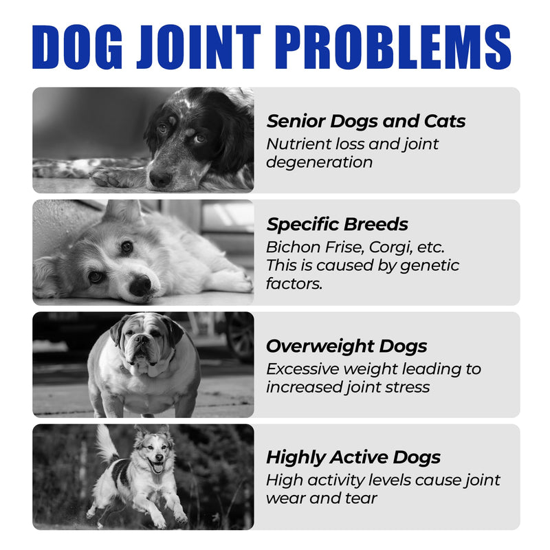 Just Try 8.82 OZ Collagen for Dogs Joint Pain Relief & Itchy Skin Allergy Relief Bites - Hydrolyzed Collagen Crunchy Chews with Glucosamine & Chondroitin for Hip & Joint Support Skin & Coat Health