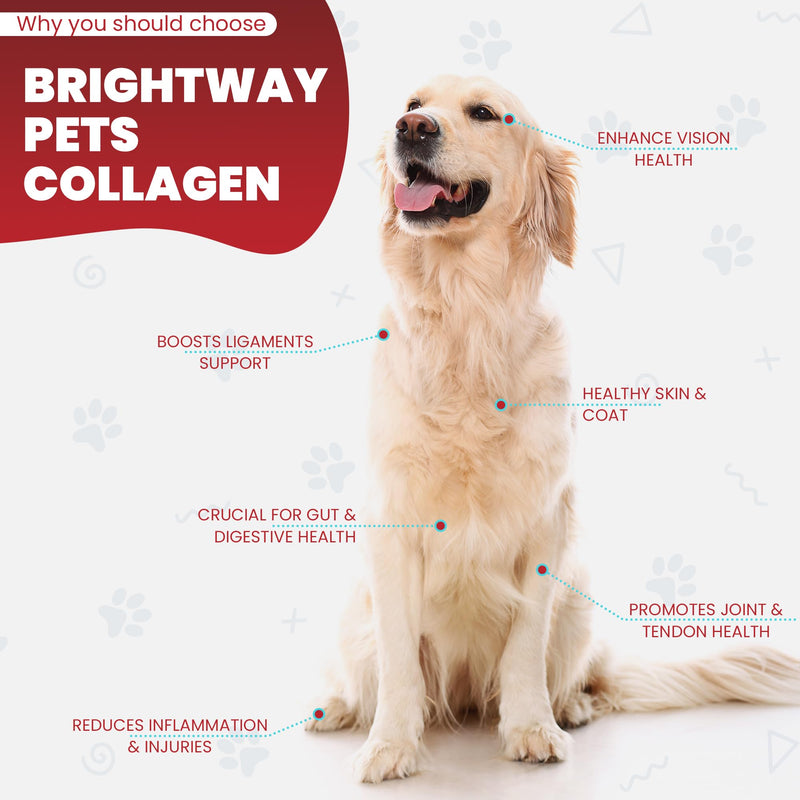 Grass fed Collagen for Dogs - Supports Health Skin & Coat, Hip, Joint Care & Cartilage Support + Skin Health and Mobility, 100% All Natural Collagen - PawsPlanet Australia
