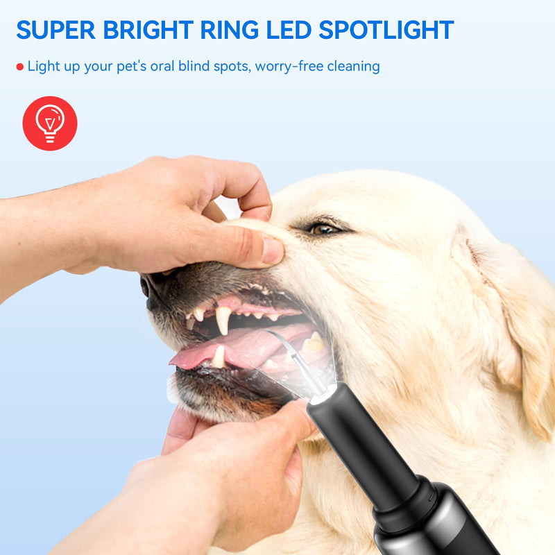 Dog Plaque Tartar Remover for Teeth, Pet Ultrasonic Tooth Cleaner, Dental Tools Cleaning Kit for Teeth Stains for Dogs & Cats with 5 Modes,Black Black - BeesActive Australia