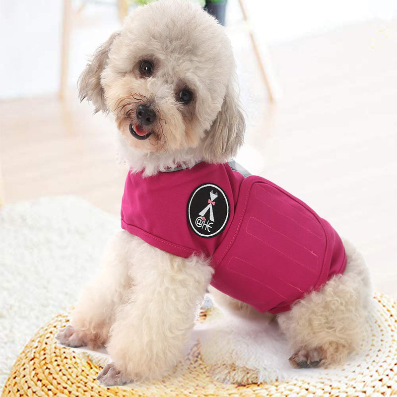 Mint Dog Coat for Anxiety Relief, Lightweight Wrap Helmet for Dogs with Anxiety (XS, Rose Red) XS - BeesActive Australia