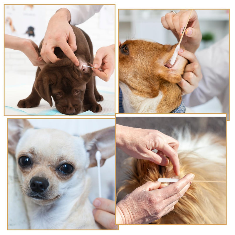 200Pcs Dog Cotton Buds Ear Cleaning Swabs, Dog Ear Budss Large 15CM Extra Large Cotton Buds for Pet Cleaning Disposable Cat Ears Cottons Swabs Sticks Dogs Earbuds(200Pcs)
