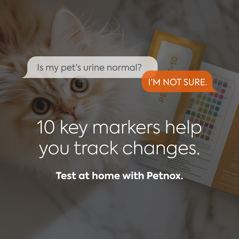 DIAGNOX HEALTH PETNOX 10-Parameter Cat & Dog Urine Test Strips - 30 x Individually Packed & Veterinary Grade Tests - Cat & Dog UTI Test Kit - Pet Test Strips for Urinalysis - BeesActive Australia