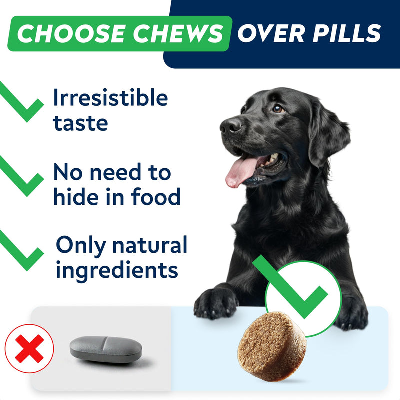 STRELLALAB Advanced Joint Supplements for Dogs Chews - Joint Aid Glucosamine for Dogs - Hip & Joint Health Care with Glucosamine & Chondroitin - Made in UK - Senior & Adult - 120Ct - BBQ Pork 120 Joint Aid Treats