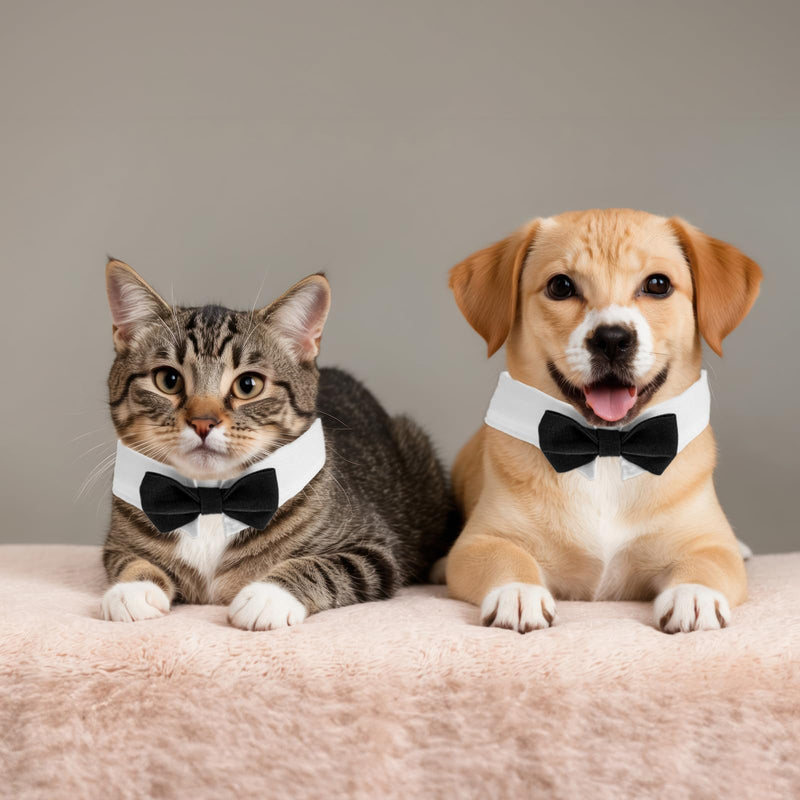 Dog Bow Tie Dog Bowtie Tuxedo Collar Bow Tie Dog Collar Black Bowtie with Handcrafted Adjustable White Collar Formal Pet Cat Necktie Collar for Medium Large Boy Dog Wedding Grooming Bows Birthday Gift - BeesActive Australia