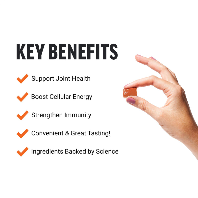 Force Factor Better Turmeric Joint Support Supplement for Extra Strength Joint Health, Featuring HydroCurc Turmeric Curcumin with Black Pepper for Superior Absorption, Fruit Splash, 60 Soft Chews 60 Count (Pack of 1) - BeesActive Australia