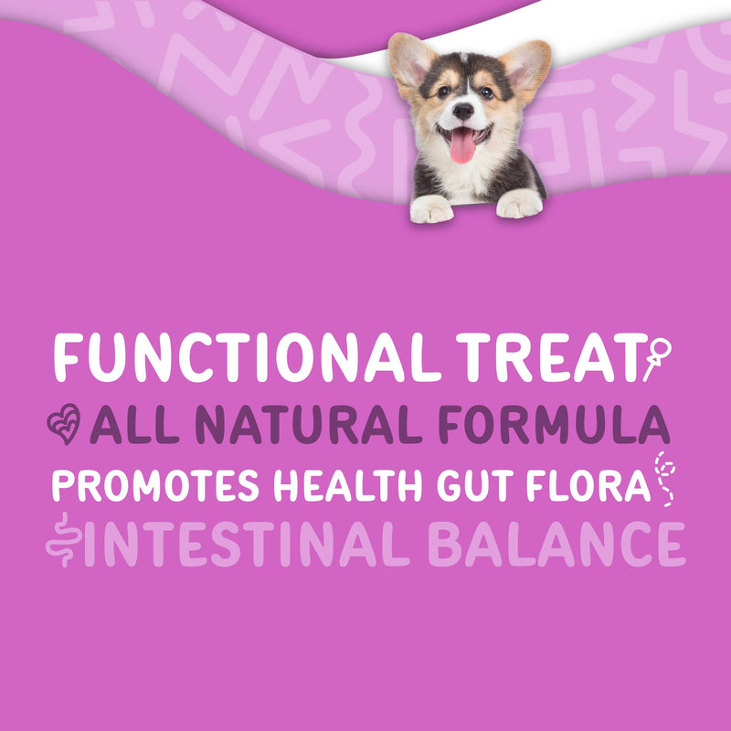 Waggedy Advanced Dog Probiotics Gut and Digestion Food Topper – Probiotic Powder with Digestive Enzymes & Papaya – Gentle Probiotics for Dogs 6+ Weeks – Supports Gut Balance, Comfort & Immune Health 4 oz