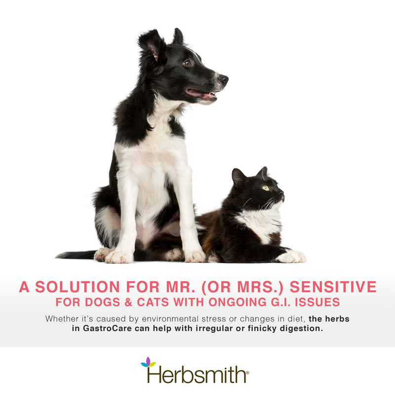 Herbsmith GastroCare - For Cats & Dogs with Sensitive Stomachs - Cat and Dog Digestive Support - Ease Canine and Feline Sensitive Stomach - 75g 75g Powder - BeesActive Australia