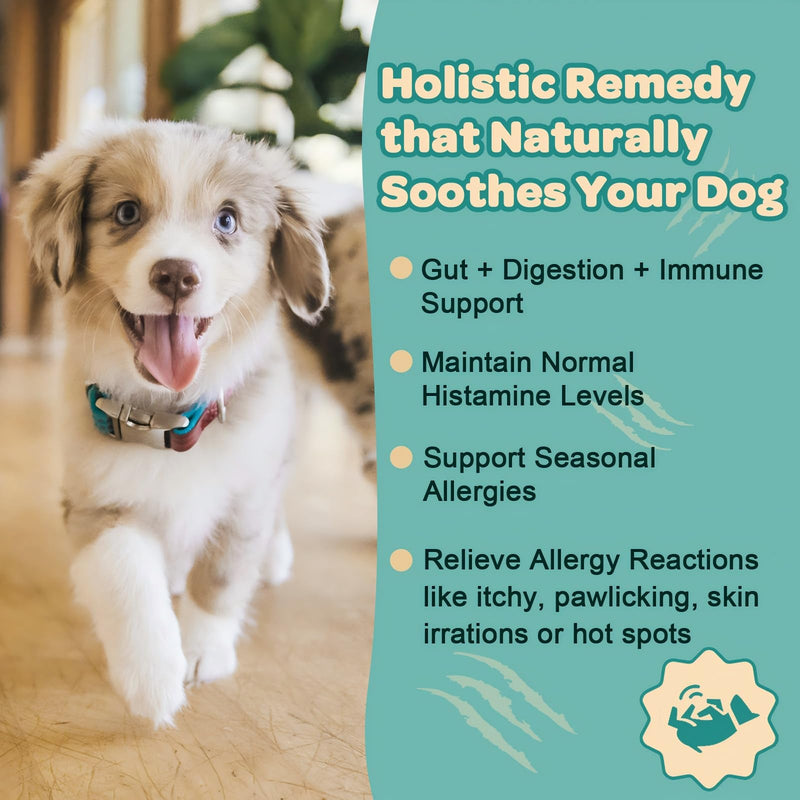 ZEBORA Dog Allergy Relief - Dog Itching Skin Relief, Advanced Skin Probiotics for Dogs, Colostrum, Support Itchy Ears, Seasonal Allergies, Immune, Digestive Health, Alternative for Dog Allergy Chews 90 Scoops