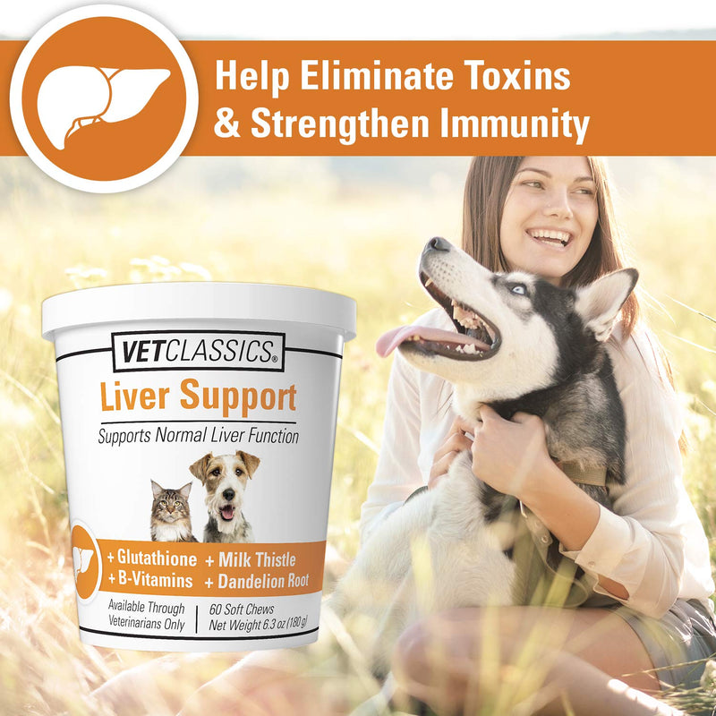 Vet Classics Liver Support Pet Health Supplement for Dogs, Cats – Liver Functions – B-Vitamins, Glutathione, Milk Thistle – Soft Tablets, Chews – 60 Soft Chews