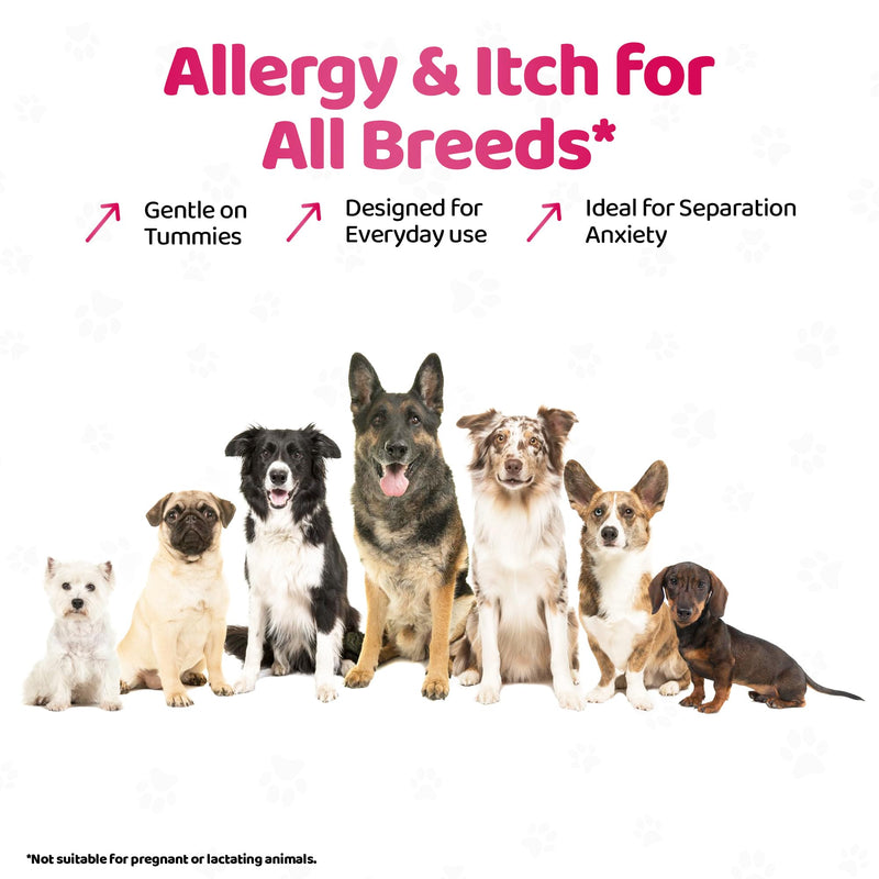 Dog Allergy and Itch Relief Drops - Comprehensive Itchy Dog Skin Relief - Immune Boosting Formula - dog itchy skin relief - 200ml
