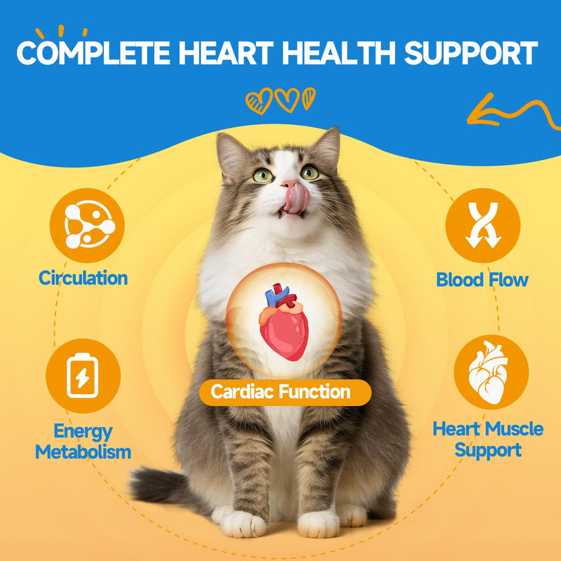 Taurine for Cats - Taurine Supplement for Cats Heart Health, Cardiac Function, Immune System Support - with L-Carnitine, CoQ10, Omega-3, L-Arginine - 60ML, Roast Chicken Flavor