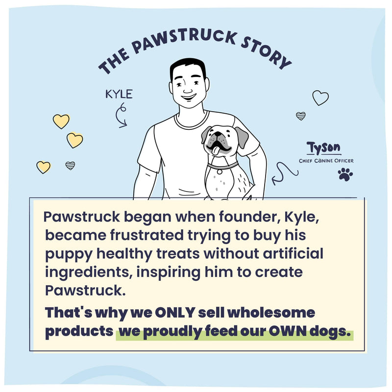 Pawstruck Large Himalayan Yak Dog Chew (6-7 oz) - Natural Yak & Cow Milk Cheese Long-Lasting Treat for Dog Chew Stick - 1 Count - Packaging May Vary (Pack of 2) 6-7 Ounce (Pack of 2)