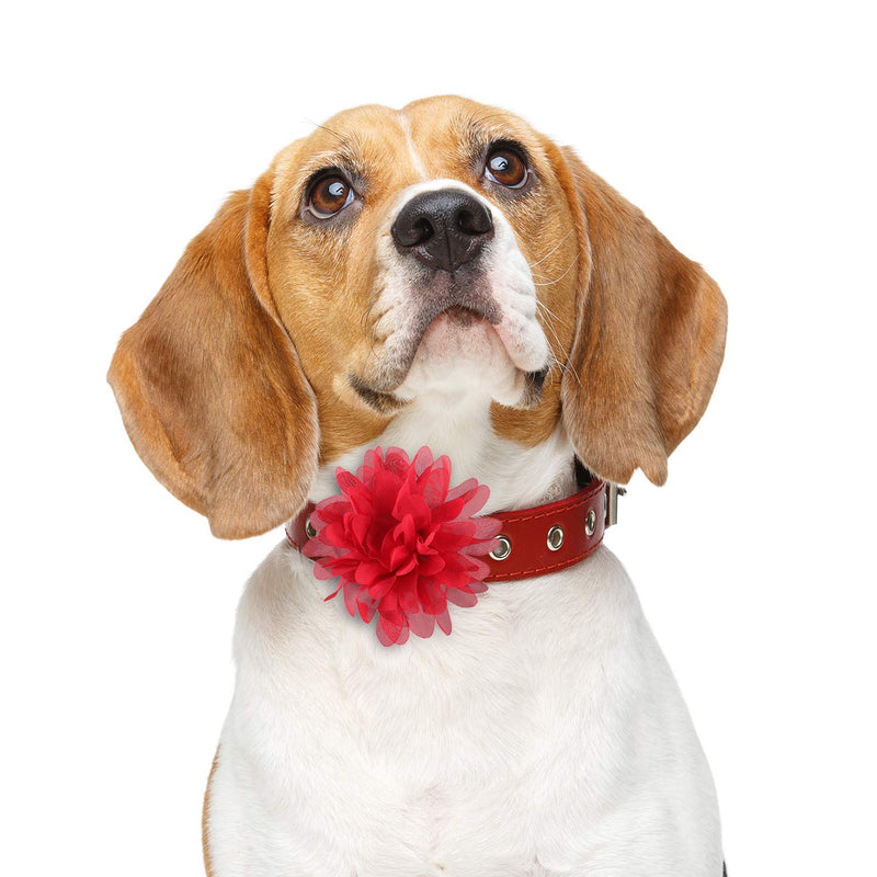 20 Pcs Pet Flower Collar Bow Dog Collar Dog Flower Collar Accessory Multi Color Soft Chiffon Dog Bow Tie Charms Flower for Puppy Collar Grooming Accessories(12 cm/ 4.7 Inch) 12 cm/ 4.7 Inch - BeesActive Australia