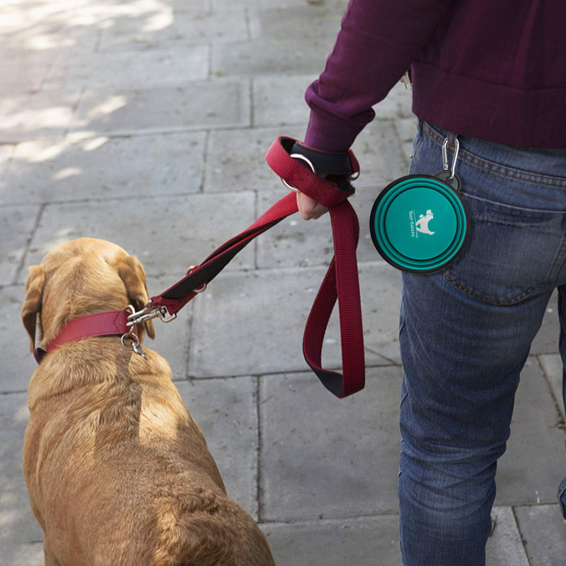 Collapsible Dog Bowls for Travel, 2-Pack Dog Portable Water Bowl for Dogs Cats Pet Foldable Feeding Watering Dish for Traveling Camping Walking with 2 Carabiners, BPA Free Small (Pack of 2) green&blue - BeesActive Australia