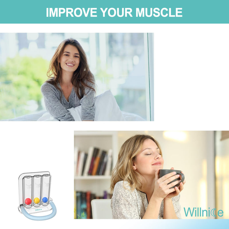 Exercise Device for Daily Training, Simple to Use and Clean, Effective Trainer Suitable for Most People Upgraded - BeesActive Australia