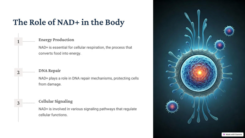 NAD+RESVERATROL