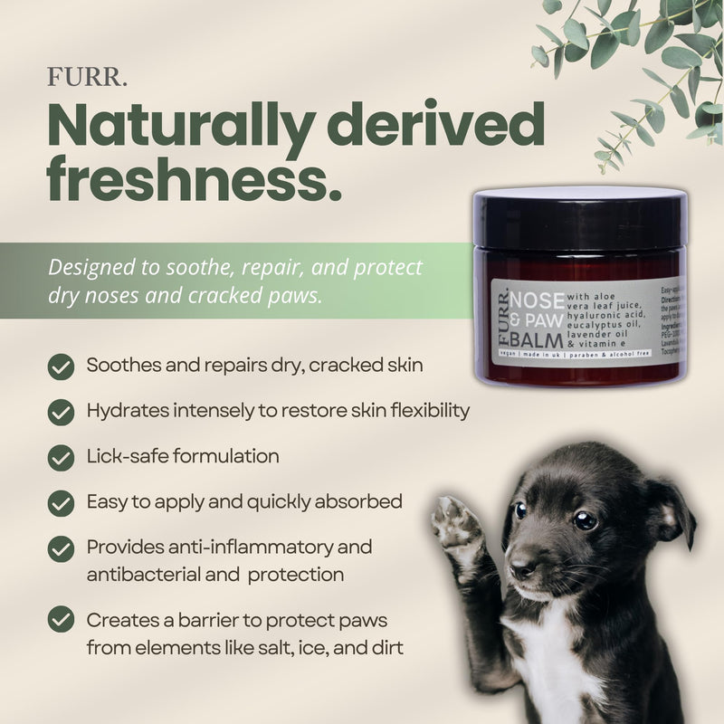 FURR Paw & Nose Balm for Dogs 2 x 50ml, Lick-Safe, Natural Healing & Hydration for Dry Noses & Cracked Paws, Aloe Vera, Hyaluronic Acid & Vitamin E, UK Made