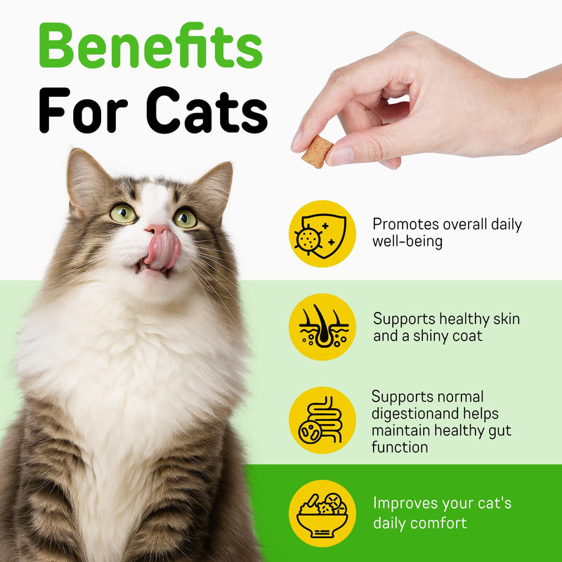 Cat Hairball Remedy Treats, Tasty Supplements to Help Prevent & Remove Hairballs, Supports Digestion, Skin & Coat Health, Chicken 100g (3.7 Oz)