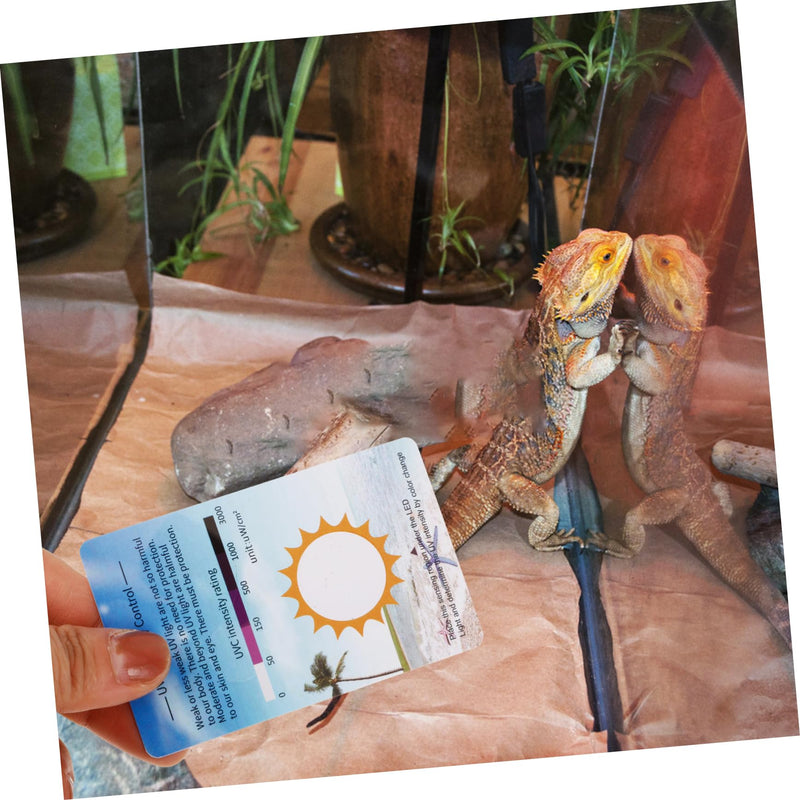 COLLBATH 10 pieces UV test cards for reptiles UV identification cards for checking UV intensity UVC test tools for terrariums Reusable and precise measurement - BeesActive Australia