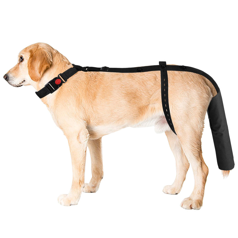 EBaokuup Dog Tail Guard,Adjustable Dog Ends Protector,Used to Assist in Recovery from Injury for Medium and Large Dogs,Happy Tail Syndrome,Pet and Animals - BeesActive Australia