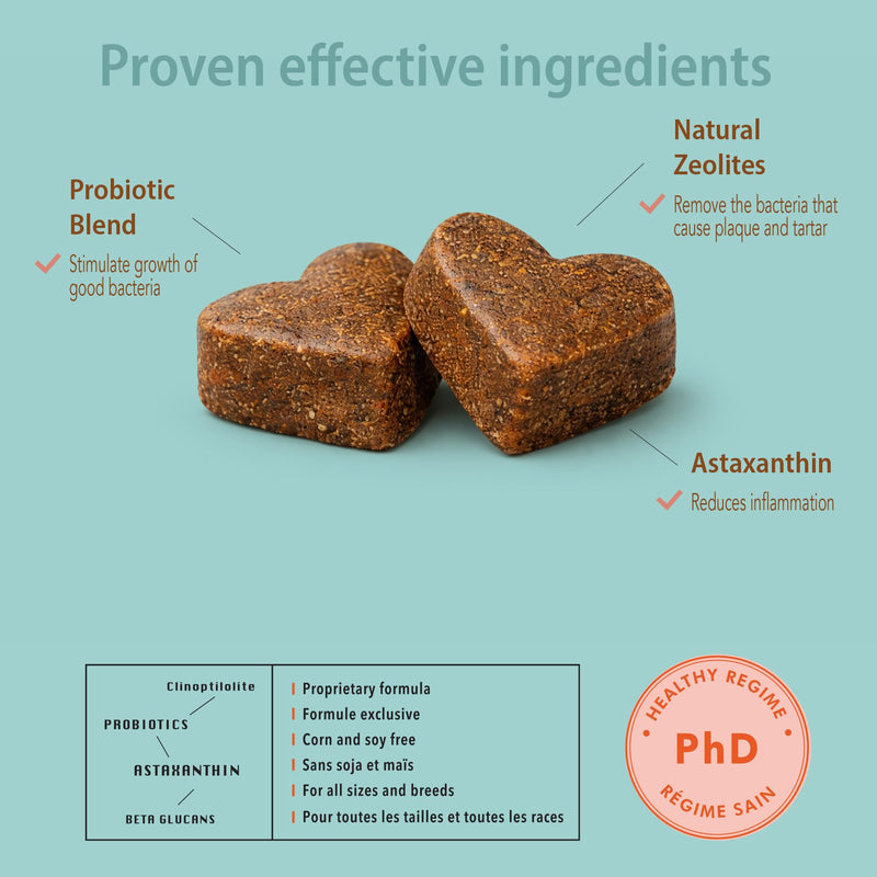 MicraVet Pro Oral Health Soft Chew Dental Supplements for Cats – Plaque & Tartar Control, Fresh Breath Support, Natural Gum & Oral Wellness Formula with Zeolites, Probiotics & Astaxanthin – 70 Count
