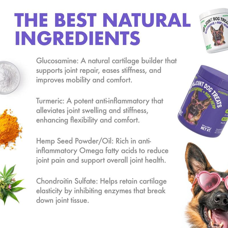 Hemp Hip & Joint Supplement for Dogs Soft Chews Made in USA Functional Glucosamine for Dogs Chondroitin MSM Turmeric Hemp Seed Oil Natural Pain Relief Mobility Advanced Joint 120 Treats Hip&Joint