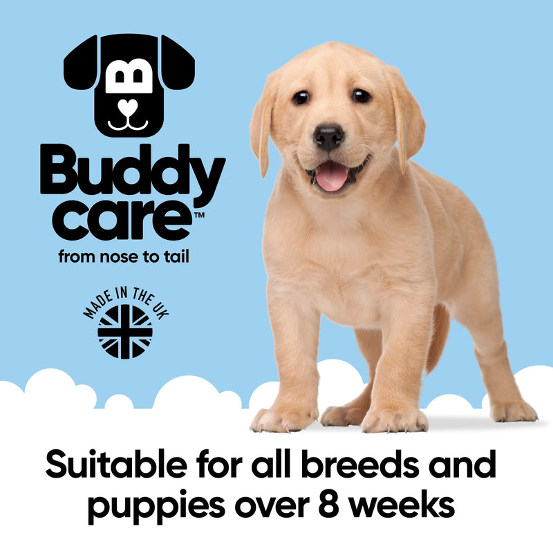 Buddycare 2in1 Shampoo & Conditioner Practical dog shampoo and conditioner in one - with aloe vera and pro-vitamin B5 (500ml) 2in1 shampoo and conditioner 500ml - BeesActive Australia