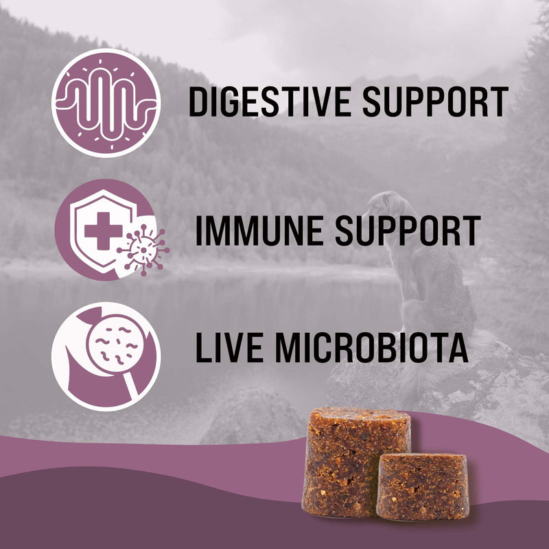 FloraPup Probiotic & Digestive Support for Dogs – Promotes & Maintains Gut Health, Reduces Inflammation, Immune System Support Small & Medium Dogs
