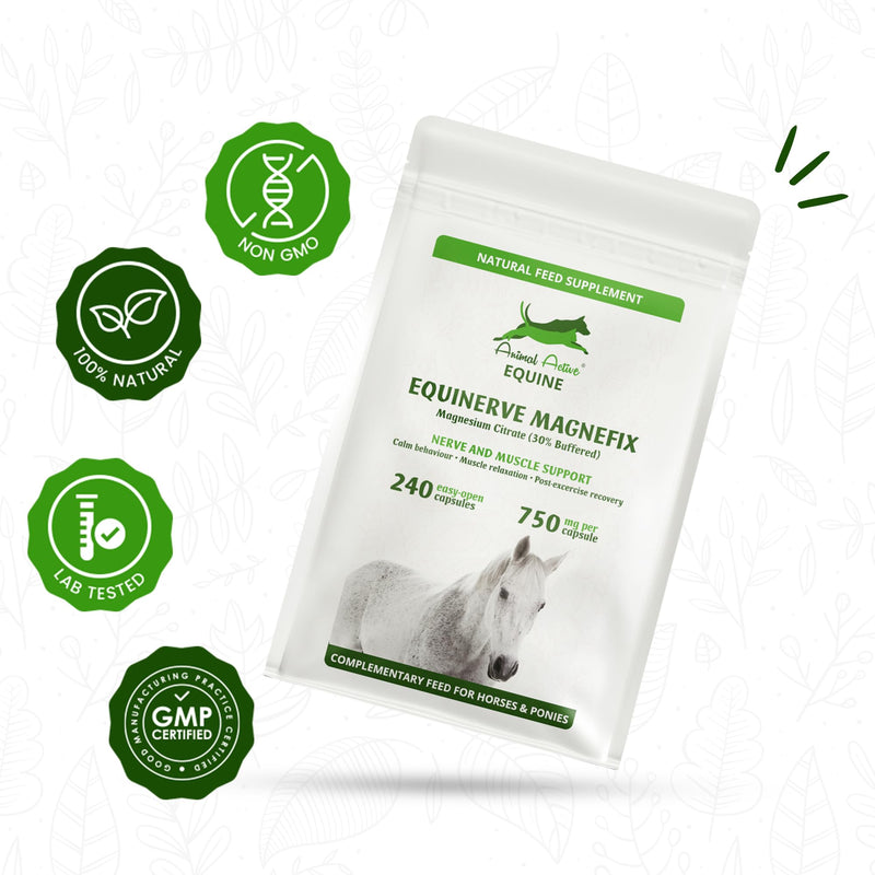 EquiNerve MagneFix for Horses | 240 Easy-Open Capsules - 4 Months Supply | Magnesium Citrate Horse Calmer, Mood, Muscle Tension & Comfort and Post-Excercise Recovery | Made in the UK