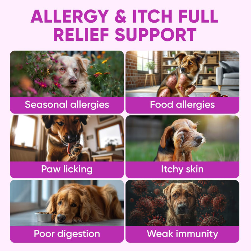 Dog Allergy Relief Chews for Itchy Skin - Seasonal and Food Allergy Chews for Shedding, Licking Paws, Hot Spot, Ears - USA Product - Omega 3 Fish Oil Skin & Coat Supplement - Anti Itch Immune Treats Allergy Support Chews