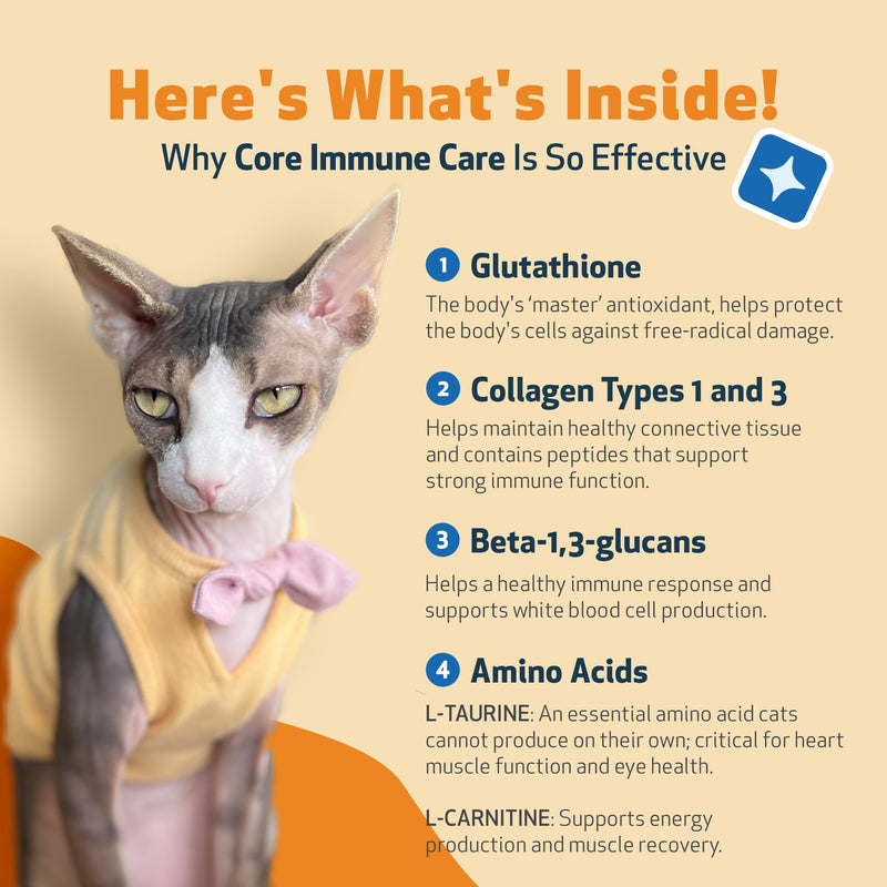Pet Wellbeing Core Immune Care for Cats of All Ages - Daily Antioxidants, Immune Support, Collagen, Glutathione, Vitamin E - Veterinarian-Formulated Holistic Supplement 3.7 oz (105 g) Powder