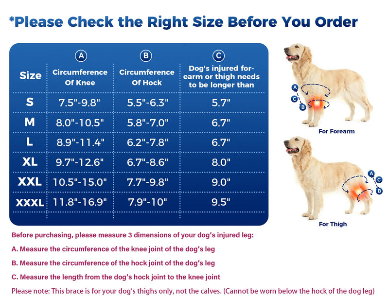 Dog Knee Brace, Dog ACL Brace for Front Torn and Back Hind Rear Legs ACL Tear, Dog Hip Knee Leg Brace for Hip Dysplasia, Dog Arthritis, Luxating Patella, Medium
