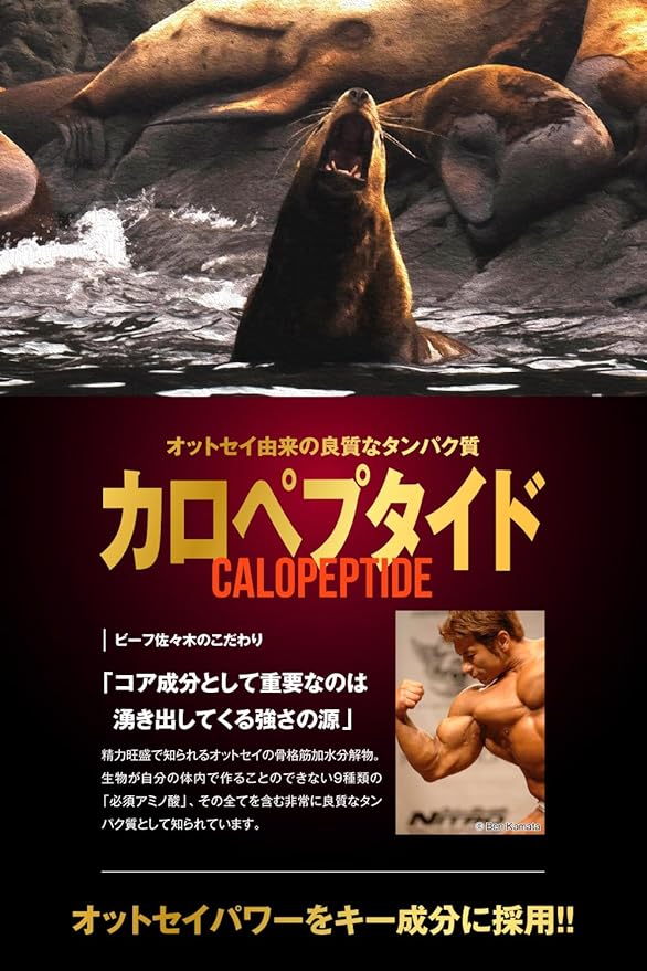 Beef Nutrition Rising Core Supervised by Beef Sasaki Non-Caffeine Pre-Workout Increased Energy Ingredients Calopeptide Citrulline Maca Beet Eleuthero 80 Capsules - BeesActive Australia
