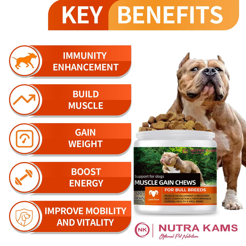 Muscle Chews for Dogs, Natural Collagen & Amino Acids, Lamb Flavor, 120 Soft Chews